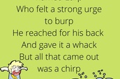 National Limerick Day