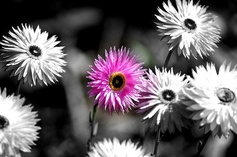 Creating An Open Community